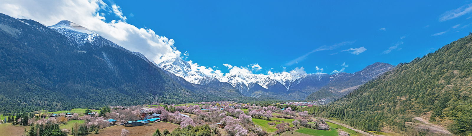 2c92808592952e1901931a573e9c294e