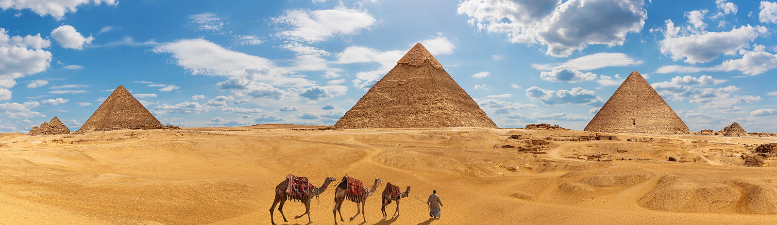 2c928084786dbf78017c33f06f8b7e0c