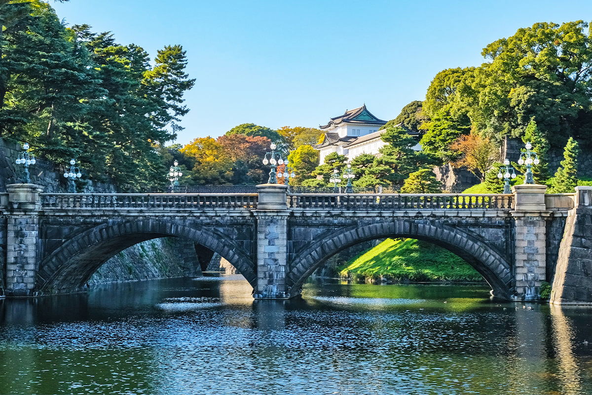 2c92808494e3718801950303a642028b