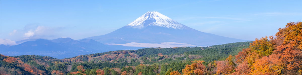 2c92808494e3718801951841320e0393