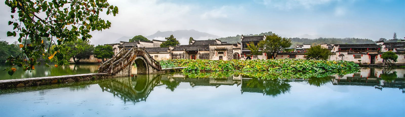 2c92808687151859018717fab66316c0-2