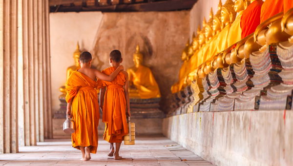 2c92808687151859018778525a6f1dc2