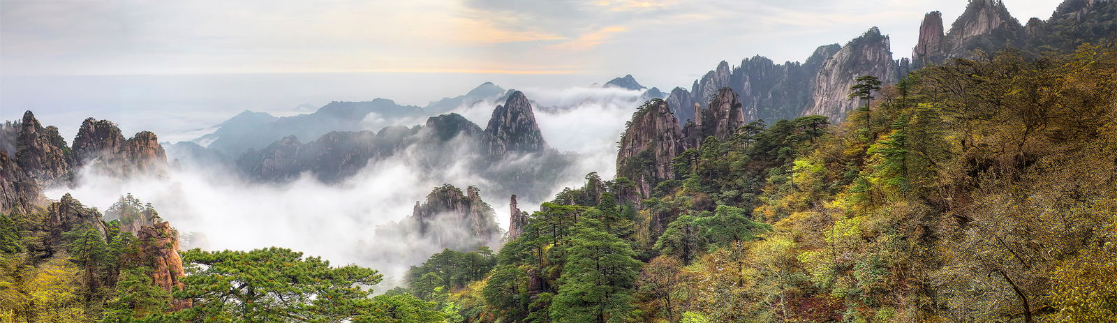 2c9280869072b38c0190de57d77505cb-2