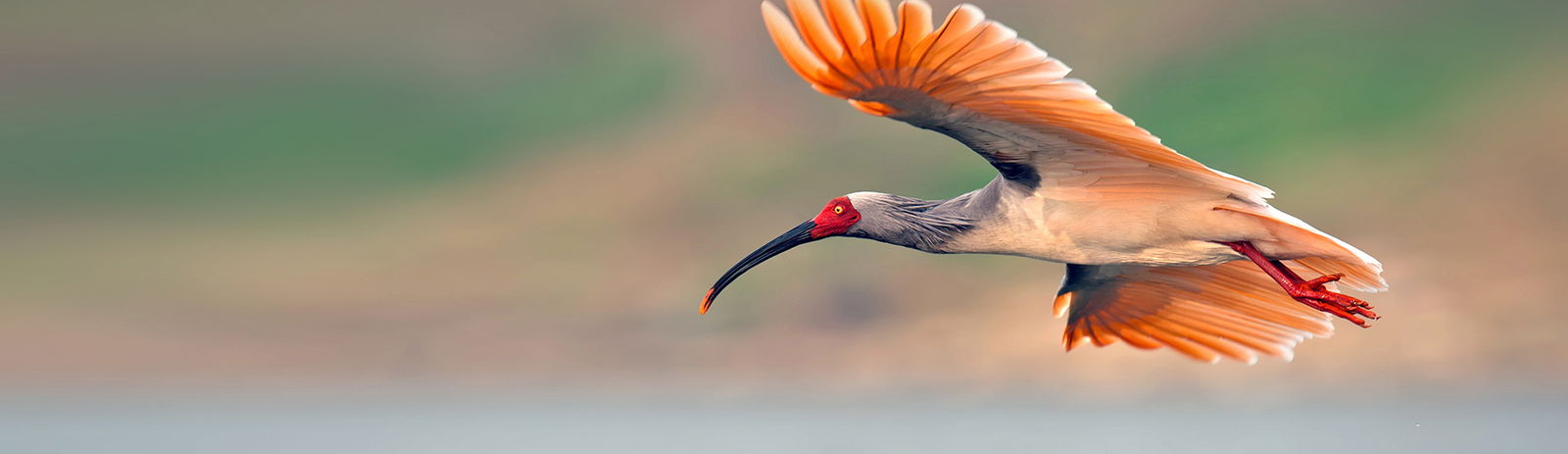 2c92808a77d63edb0177d7d15bee3499-2