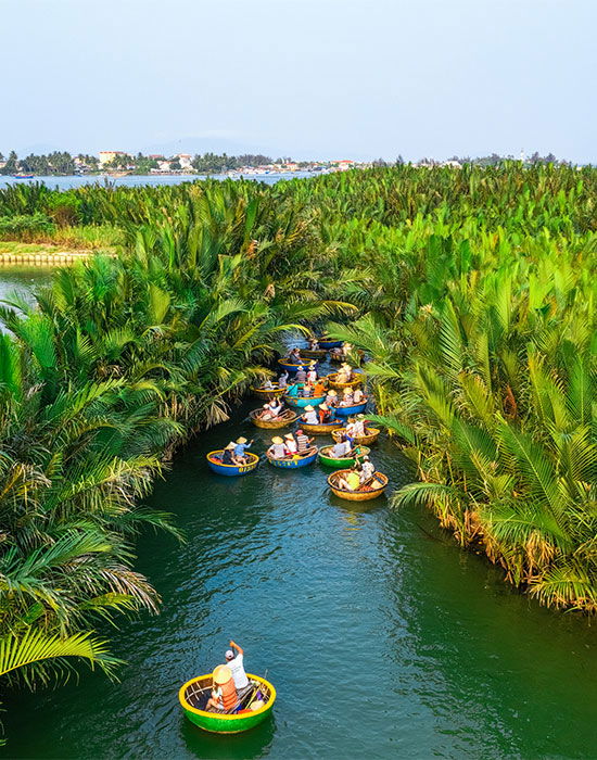 Rừng dừa Bảy Mẫu