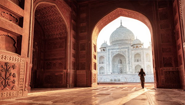 伊豆半島河津櫻＋四季島奢華列車