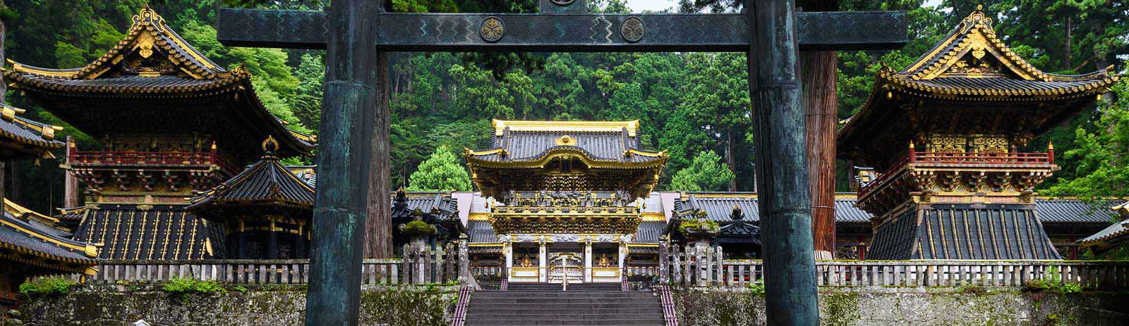 2c92808a77d63edb0177d7cc8aad332d