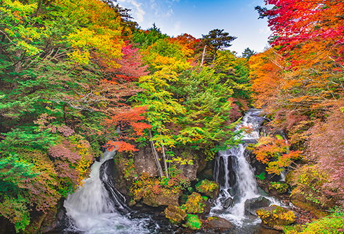 Niigata, Nikko, + Sado Island: Countryside Hot Springs