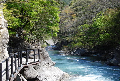 印度+ 大君列車 (3月)